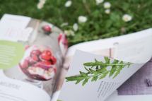 Recenze knih - Moje zahradní kuchařka | reBarbora's kitchen